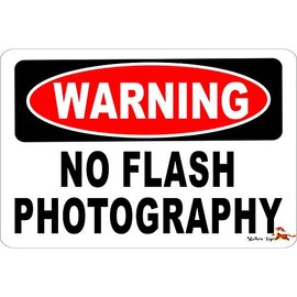 WARNING NO FLASH PHOTOGRAPHY Aluminum 8 x 12 Metal Novelty Vintage Reproduction Danger Sign