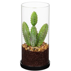 GnFlus Artificial Succulent in Cylindrical Glass Vase Small Fake Cactus Plant with Modern Glass Terrarium Faux Plants Indoor Gift for Plant Lover Decor for Home Office Table Desk Shelf