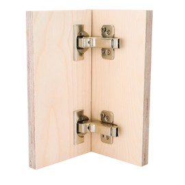 Blum Clip Top 110 Degree, Inset Hinge with BLUMOTION