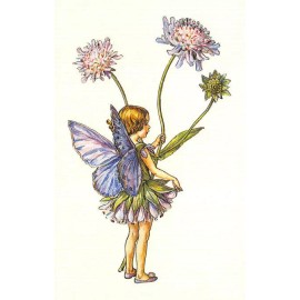 Flower Fairy Postcard: Scabious Fairy with Purple & Pink Blossoms