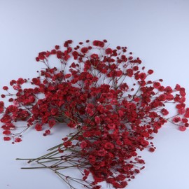 LYFORTZY 50 Pcs Red Baby's Breath Real Dried Pressed Flowers.Vacuum-Packed Mini Dried Baby's Breath Flowe Specimen +1 Tweezers, for Resin Art /DIY Making Wedding Card/ Home Party Decor.