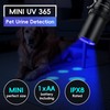 UV Flashlight, 365nm Black Light Flashlight, UVA-T1 Powerful UV Light