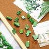Chinchetas De Madera y Palma De Cactus, Decorativas para Fotos,