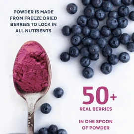 Numami Numami Wild Blueberry Powder Organic, for Smoothies, Baking and Flavoring, Rich in Antioxydants and Vitamin C, Organic Blueberries are Handpicked from Nordic Forests for Freeze Dried Blueberry Powder