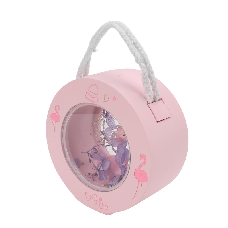 Flamingo Lamp Wall Mountable Double Sided Transparent Romantic Battery Powered