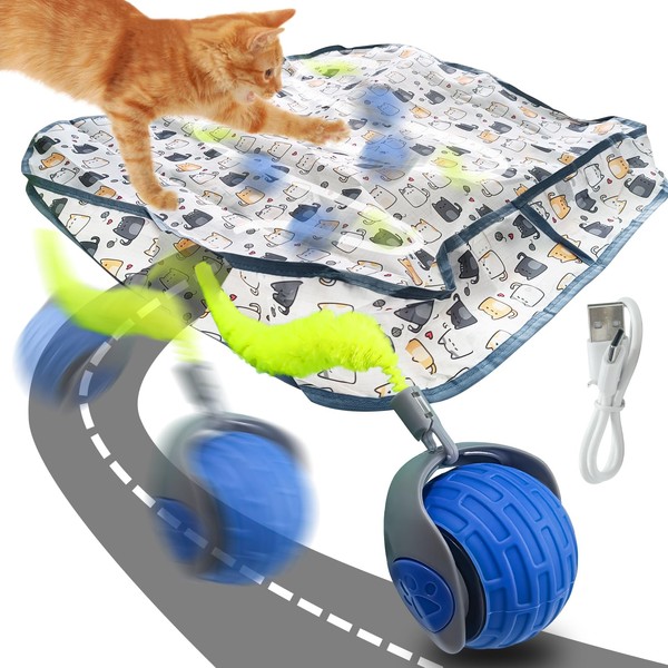 Aerbee Interactive Cat Toys for Indoor Cats, Electric Cat Ball