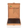 the Last Straw - 100% Biodegradable Paper Drinking Straws (100