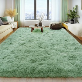 Soft Fluffy Rug for Living Room, 4x6 Sage Green Shag Area Rug for Bedroom Living Room, Non-Slip Fuzzy Carpet for Girls Boys Kids, Throw Rugs for Dorm, Modern Home Decor Aesthetic