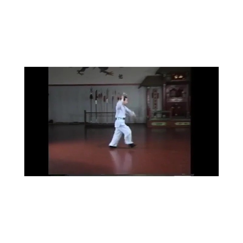 Rattan Martial Arts Cane