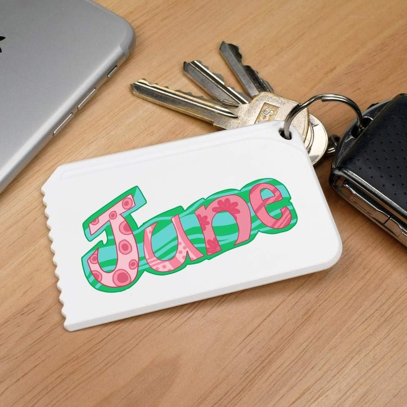 Azeeda 'June' Plastic Ice Scraper (IC00037121)