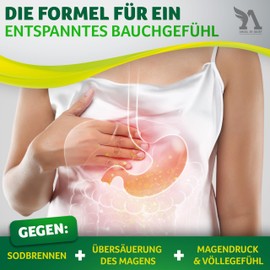 Angel in Quiet Magentabletten 60 Stück Gegen Sodbrennen und Übersäuerung des Magens, bei Magendruck und Völlegefühl