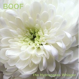 The Hydrangeas Whisper