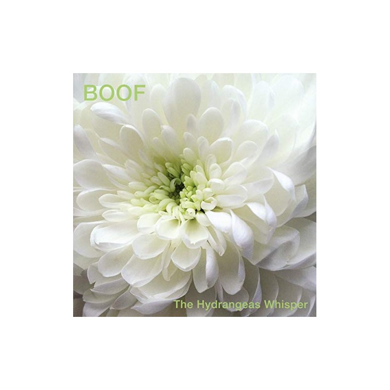 The Hydrangeas Whisper