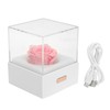 Rose Night Light Romantic Small USB Charging Soft Brightness Decoration