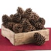 ANDALUCA Pinecone Vase & Bowl Fillers | Scented Pine Cones