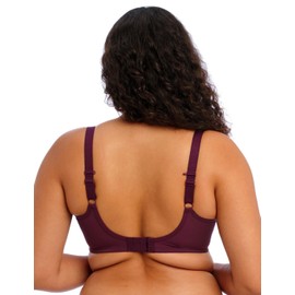 Elomi Women's Plus Size Padded, BlackBerry, 38GG