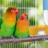 kathson 20 Pcs Bird Drinker Feeder Plastic Soda Pop Water