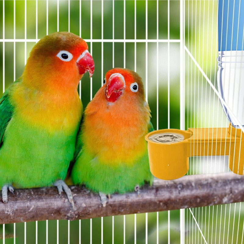 kathson 20 Pcs Bird Drinker Feeder Plastic Soda Pop Water