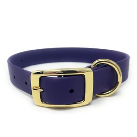 Regal Dog Products Large Purple Waterproof Dog Collar with Gold Buckle, Resilient and Durable Materials, Comfortable Design - for Small, Medium, and Large Breed Dogs