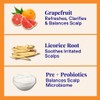 The Powder Shampoo - Powder Shampoo Aluminum Bottle Strengthening &