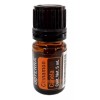 Doterra Aceite De Canela Cinnamomum Zeylanicum Doterra 5 Ml