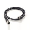 M12 12-Pin Connector PVC Sensor Cable, A Code Straight Male