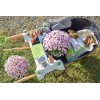 The Burro Buddy USA Made Lawn/Garden Tray for All 4-6