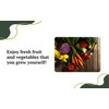 Crimson Sweet Watermelon Seeds for Planting - Premium Heirloom Seeds