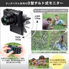 Nikon Coolpix A1000BK Digital Camera, 35x Optical, ISO6400, EVF with