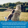 Jack&Pup Marrow Bones for Dogs, Long Lasting Dog Bones for