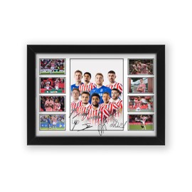 AllStarMedia Limited Edition Stoke City Football Club Autograph Signed Poster Print - Memorbilia Gift or Merchandise for Sport Fans (Framed A4 (30x21cm))