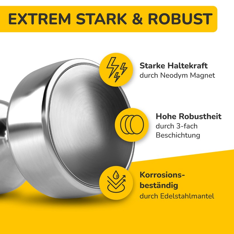borbee® Magnets (Pack of 16), Strong Magnets for Office and