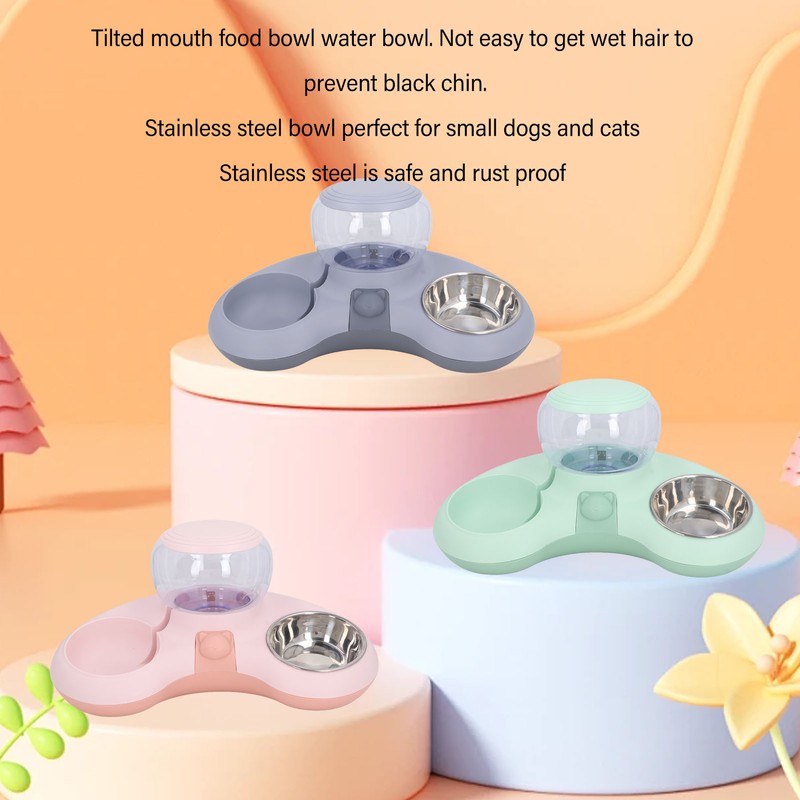 Double Cat Bowls Pet Food and Water Bowl Set Tilted