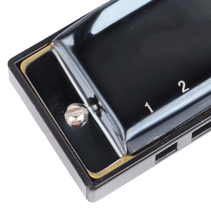Black Harmonica C Key 10 Hole Blue Harp Stainless Steel