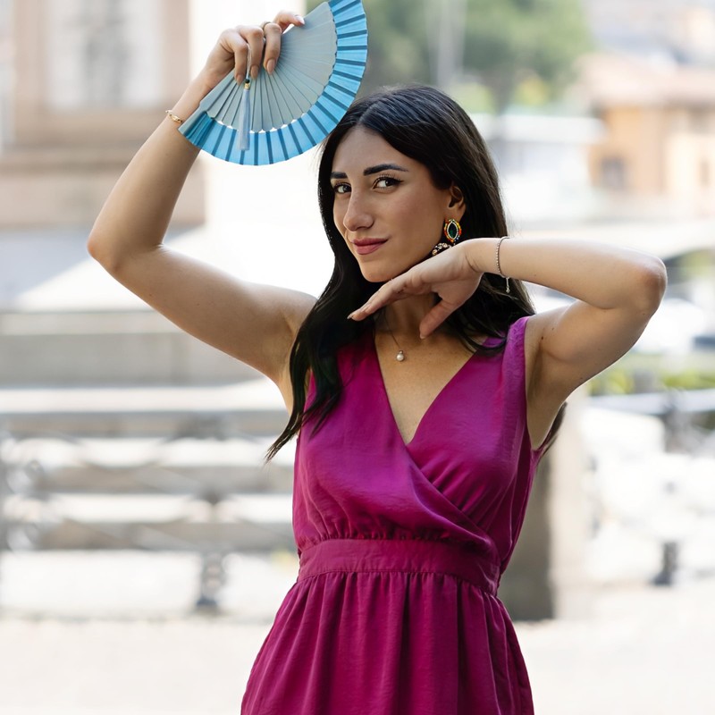 MAPIMANIA - Small compartments for handbag with protective cover made