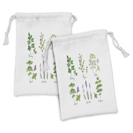 Lunarable Herb Fabric Pouch Set of 2, Parsley Thyme Dill Basil Lavender and Oregano Fresh Plants Hand-Drawn Style Healthcare, Small Drawstring Bag for Toiletries Masks and Favors, 9" x 6", Multicolor