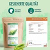 STRIVE DE-ÖKO-039 Pea Protein 100% Organic Vegan Fermented Premium Pea