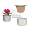 Dphagesy African Violet Pots 6 inch Hexagon Self-Watering Ceramic Violet