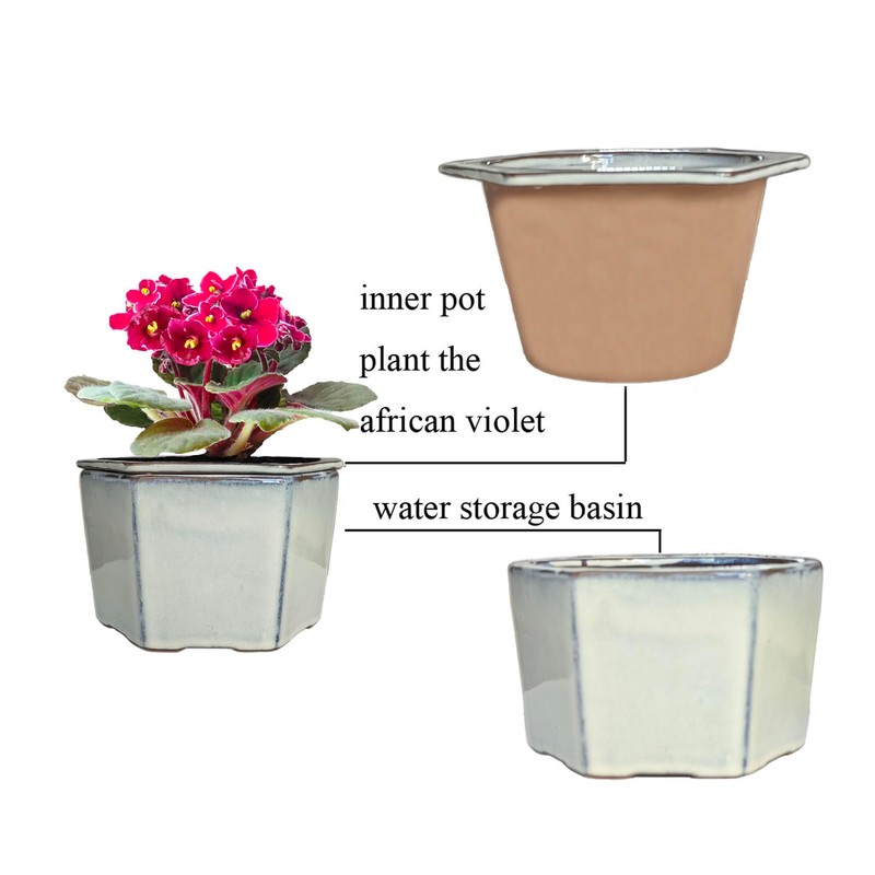 Dphagesy African Violet Pots 6 inch Hexagon Self-Watering Ceramic Violet