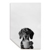 Kemingni Funny Dachshund Coffee Kitchen Towels, Dachshund Gifts Hand Towels