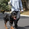 TSPRO Chew Proof Dog Leash Stainless Steel Dog Leash Metal