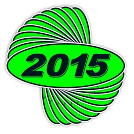 Versa-Tags Versa Tags 2015 Oval Model Year Car Dealer Window Stickers Proudly Made in The USA Versa Oval Model Windshield Year Stickers are Chartreuse Green Black in Color Come Twelve (12) to A Pack