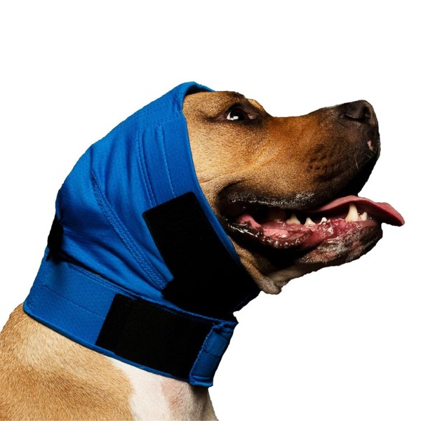 No Flap No Flap Ear Wrap (Blue Pinpoint Mesh, Small/Medium)