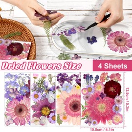 Augshy 92Pcs Pressed Dried Flowers, Real Natural Dried Flowers for Resin Molds Big Purple Pink Dry Pressed Floral for Crafts DIY Jewelry, Soap Making, Scrapbooking, Candle, Epoxy Resin Supplies