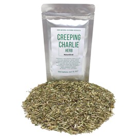 Creeping Charlie Herbal Tea, Made from 100% Glechoma Hederacea, Cut & Dried Ground Ivy - Net weight: 1.0oz/28.5g