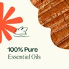 Plant Therapy Chakra 1 Grounded Foundation (Root Chakra) Essential Oil