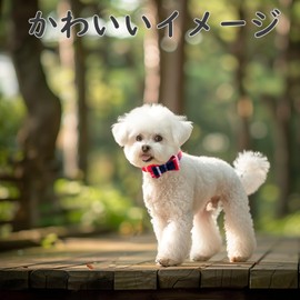 BINGPET Dog Collar Bandana Lead Set, Dog Collar, Includes Bell, Basic Collar, Check, Adjustable, Leather, Soft, Cute, Stylish, Ultra Lightweight, Breathable, Includes Handle, Metal Ring, Mesh, Cats,