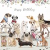 Mixed Dogs Luxury Birthday Card