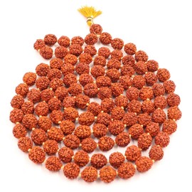 Zap Impex Rudraksha Mala Certified Natural Small Rudraksha Necklace, Original Rudraksha Mala Certificate, 5mm Rudraksha (Size: 5mm, Beads: 108+1)