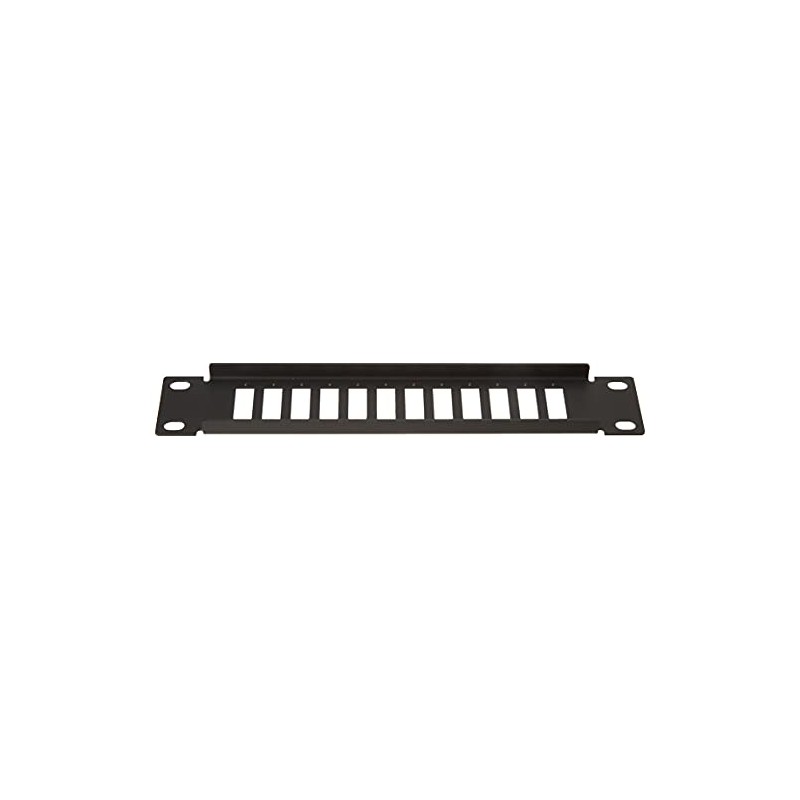 Delock 10 Inch Fibre Optic Patch Panel 12 Port for